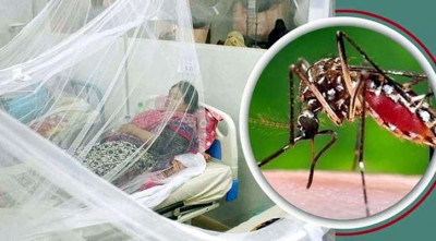 ডেঙ্গুতে মৃত্যু